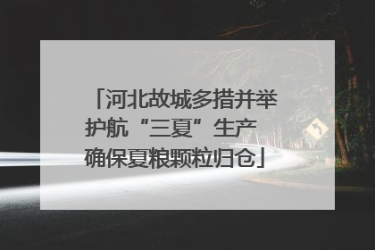 河北故城多措并举护航“三夏”生产 确保夏粮颗粒归仓