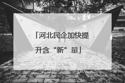 河北民企加快提升含“新”量