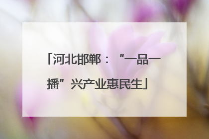 河北邯郸：“一品一播”兴产业惠民生