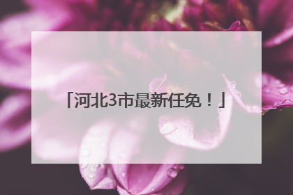 河北3市最新任免！