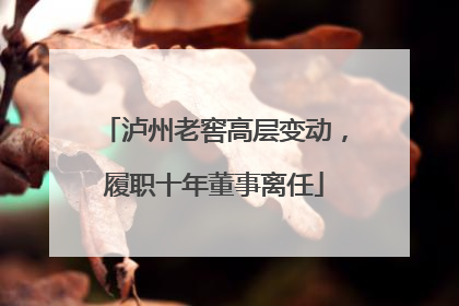 泸州老窖高层变动，履职十年董事离任