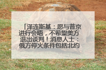 泽连斯基：愿与普京进行会晤，不希望美方退出谈判！消息人士：俄方停火条件包括北约“书面”保证不东扩