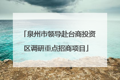 泉州市领导赴台商投资区调研重点招商项目