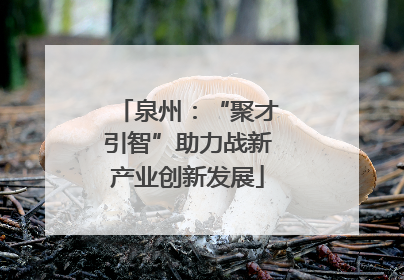 泉州：“聚才引智”助力战新产业创新发展