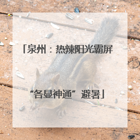 泉州：热辣阳光霸屏 “各显神通”避暑
