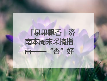 泉果飘香｜济南本周末采摘指南——“杏”好遇见你！
