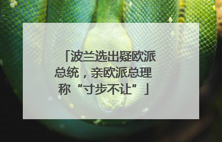 波兰选出疑欧派总统，亲欧派总理称“寸步不让”