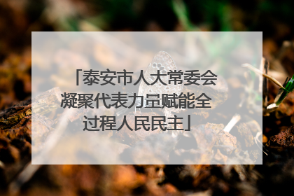 泰安市人大常委会凝聚代表力量赋能全过程人民民主