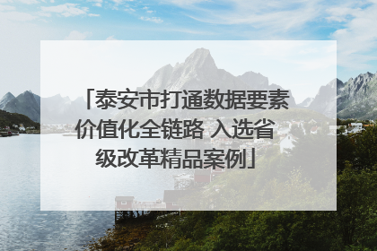 泰安市打通数据要素价值化全链路 入选省级改革精品案例