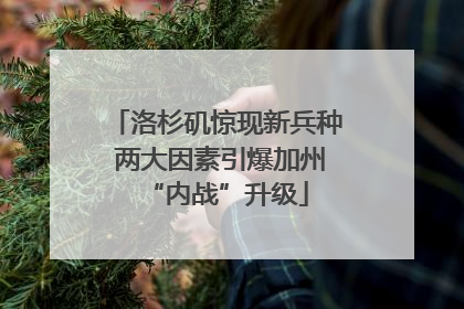 洛杉矶惊现新兵种 两大因素引爆加州“内战”升级