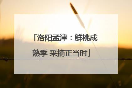 洛阳孟津：鲜桃成熟季 采摘正当时