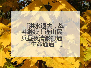 洪水退去，战斗继续！连山民兵昼夜清淤打通“生命通道”
