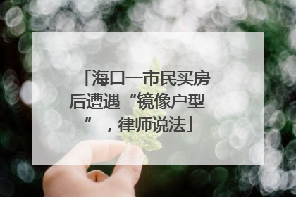 海口一市民买房后遭遇“镜像户型”，律师说法