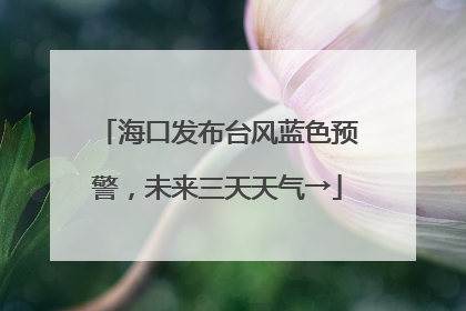 海口发布台风蓝色预警，未来三天天气→
