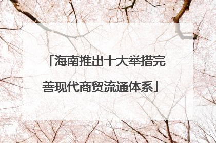 海南推出十大举措完善现代商贸流通体系