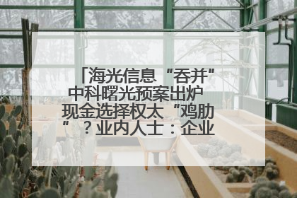 海光信息“吞并”中科曙光预案出炉 现金选择权太“鸡肋”？业内人士：企业不想大量现金流出