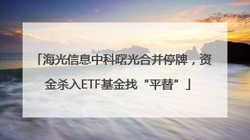 海光信息中科曙光合并停牌，资金杀入ETF基金找“平替”