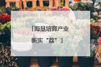 海垦培育产业新实“荔”