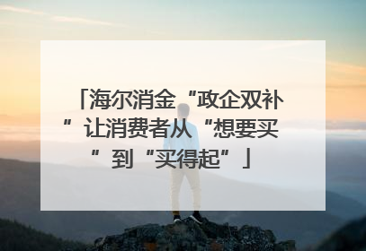 海尔消金“政企双补”让消费者从“想要买”到“买得起”