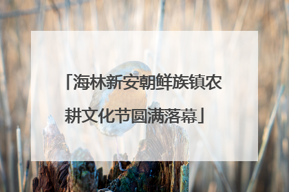 海林新安朝鲜族镇农耕文化节圆满落幕