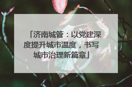 济南城管：以党建深度提升城市温度，书写城市治理新篇章