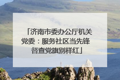 济南市委办公厅机关党委：服务社区当先锋 督查党旗别样红