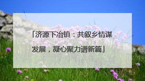 济源下冶镇：共叙乡情谋发展，凝心聚力谱新篇