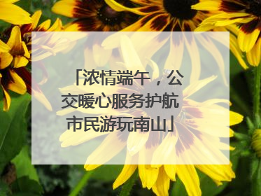 浓情端午，公交暖心服务护航市民游玩南山