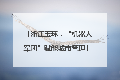 浙江玉环：“机器人军团”赋能城市管理