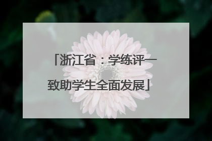 浙江省：学练评一致助学生全面发展
