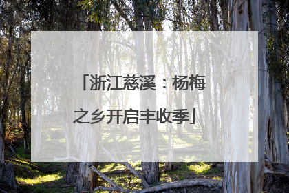 浙江慈溪：杨梅之乡开启丰收季