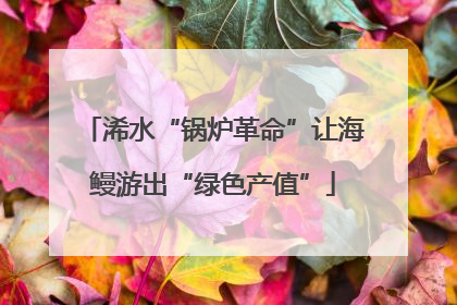 浠水“锅炉革命”让海鳗游出“绿色产值”