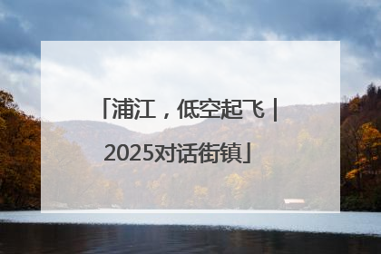 浦江，低空起飞｜2025对话街镇