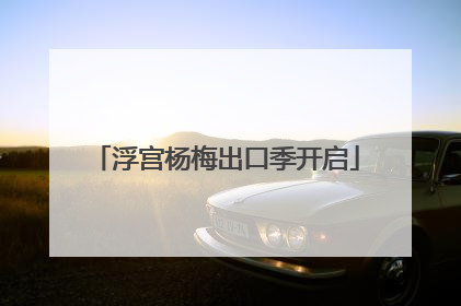 浮宫杨梅出口季开启