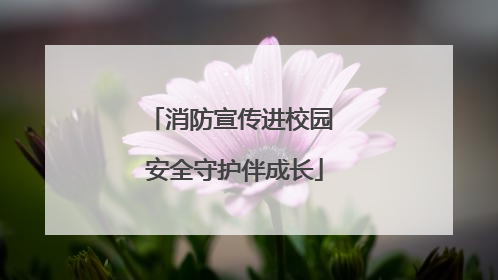 消防宣传进校园 安全守护伴成长