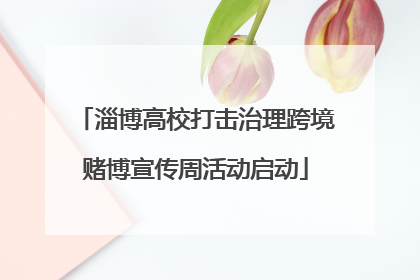 淄博高校打击治理跨境赌博宣传周活动启动