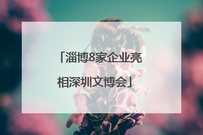 淄博8家企业亮相深圳文博会
