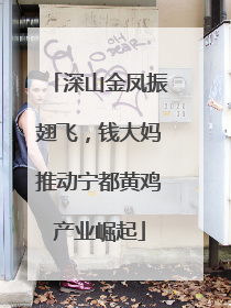 深山金凤振翅飞，钱大妈推动宁都黄鸡产业崛起
