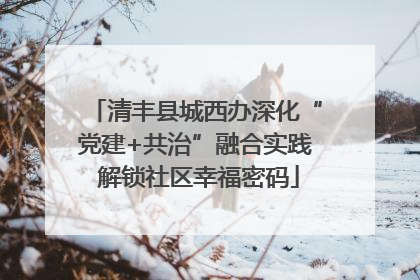 清丰县城西办深化“党建+共治”融合实践 解锁社区幸福密码