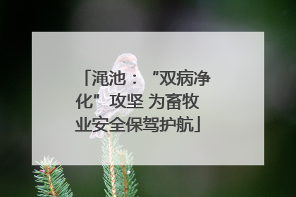 渑池：“双病净化”攻坚 为畜牧业安全保驾护航