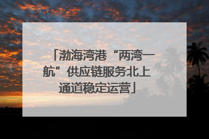 渤海湾港“两湾一航”供应链服务北上通道稳定运营