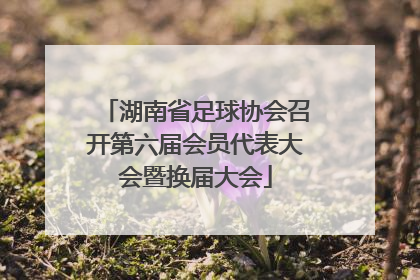 湖南省足球协会召开第六届会员代表大会暨换届大会