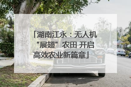 湖南江永：无人机“展翅”农田 开启高效农业新篇章