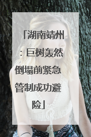 湖南靖州：巨树轰然倒塌前紧急管制成功避险