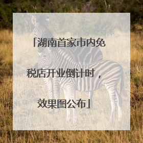 湖南首家市内免税店开业倒计时，效果图公布