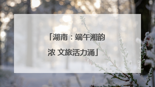 湖南：端午湘韵浓 文旅活力涌