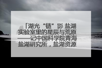 湖光“链”影 盐湖实验室里的星辰与荒原——记中国科学院青海盐湖研究所，盐湖资源化学实验室党总支书记、副主任刘忠