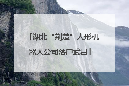 湖北“荆楚”人形机器人公司落户武昌
