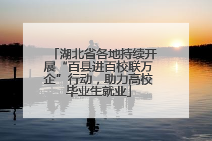 湖北省各地持续开展“百县进百校联万企”行动，助力高校毕业生就业