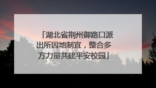 湖北省荆州御路口派出所因地制宜，整合多方力量共建平安校园
